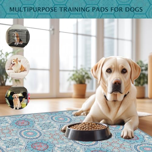 IEUUMLER Washable Pee Pads for Dogs, 1 Pack Non-Slip & Waterproof Pack Whelping Pad, Reusable Washable Puppy Potty Training Pad with Fast Absorbent for Playpen EU007 (Green Medallion, 63"X63"-1pcs)