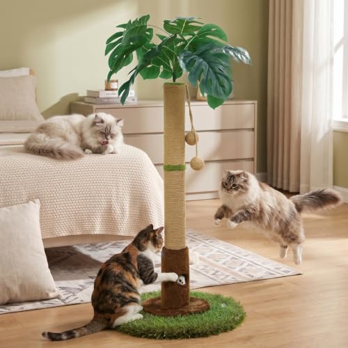 Woochpet Cat Scratching Post for Indoor Cats and Kitten - 35.43" Tall Cat Scratching Post with Sisal Rope,Palm Tree Cat Scratch Post with Hanging Ball