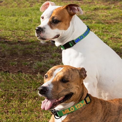 Pawtitas Personalized Dog Collar Extra Small Dog Collar Embroider with Name Phone Number Puppy Collar Adjustable Customized Collar for Extra Small Dogs Breeds Puppy Green Dog Collar