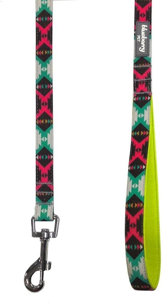 Blueberry Pet 2 Colors Southwestern Vintage Tribal Print Dog Leash with Soft & Comfortable Handle, 5 ft x 5/8", Extravagant Green, Small, Leashes for Dogs