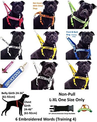 Adopt ME Yellow Color Coded 2 4 6 Foot Padded Dog Leash (New Home Needed) Donate to Your Local Charity (4 Foot Leash)
