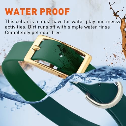 Viper Biothane Heavy Duty Waterproof Dog Collar Strong Coated Nylon Webbing w/Solid Brass Hardware Odor-Proof Easy to Clean High Performance Fits Small Medium or Large Dogs, Hunter Green