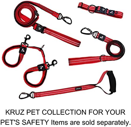 Dog Collar for Small Dogs (Width- 5/8", Length - 15"-17") | Adjustable Padded Turquoise Dog Collar with Heavy Duty D-Ring | Soft Comfortable Fit for Puppies and Small Dogs | Small