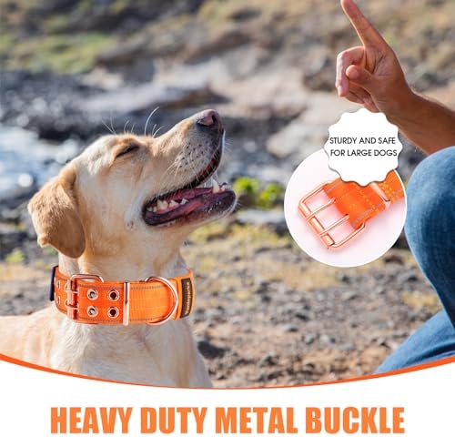 Heavy Duty Dog Collar for Medium Large Dogs, Orange, Large