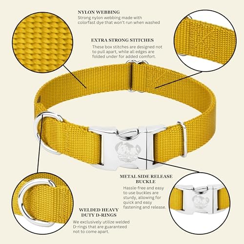 Country Brook Petz - Premium Nylon Dog Collar with Metal Buckle for Small Medium Large Breeds - 30+ Colors (Small, 3/4 Inch, Gold)