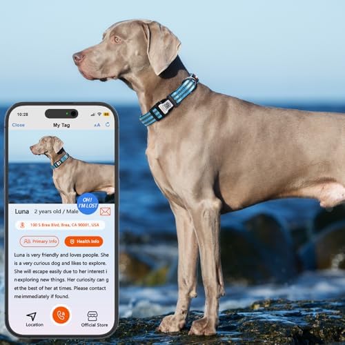 Personalized Dog Collar with QR Code Dog Tag, Light Blue M