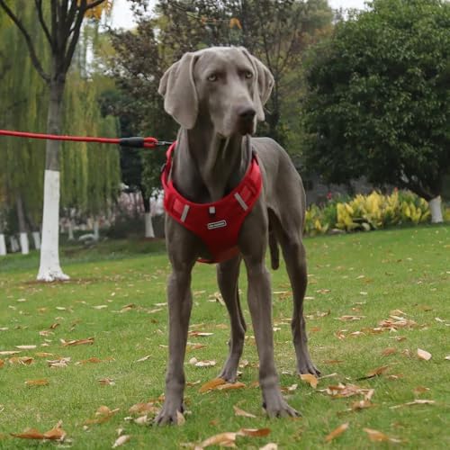 Dog Harness No Pull Adjustable Reflective,for Medium and Large Small Dog with Leash 59.06in (Red, XL)