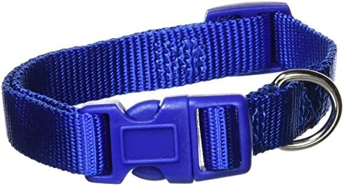 Zack & Zoey ⅝" Wide Nylon Dog Collar, Fits Necks 10" to 16", Nautical Blue