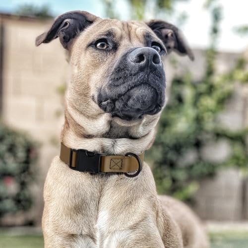 Dogline Biothane Waterproof Dog Collar with Quick Release Buckle Strong Coated Nylon Webbing with Odor- Proof for Easy Care Easy to Clean Fits Small Medium Large Dogs, Coyote Brown 3/4" W 12-19" L