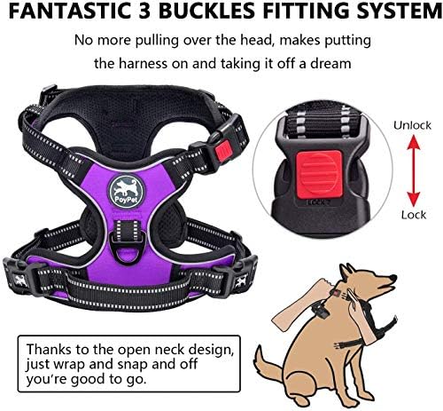 PoyPet Dog Harness and Leash Set, No Pull Vest with Front Clip and Handle