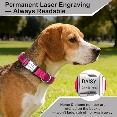 Personalized Dog Collars, Custom Laser Engraved Name & Phone Number
