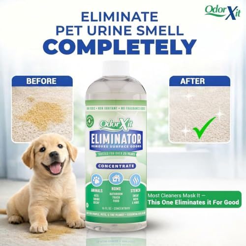 Concentrated Pet Urine Odor Eliminator, Ideal for Cat, Dog Poo and Urine Smell, Versatile & Natural Odor Neutralizer for Home and Outdoor Use, Deodorizer & Absorber, Concentrate, 16oz