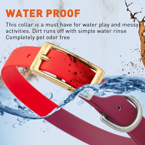 Viper Biothane Heavy Duty Waterproof Dog Collar Strong Coated Nylon Webbing w/Solid Brass Hardware Odor-Proof Easy to Clean High Performance Fits Small Medium or Large Dogs, Cherry Red