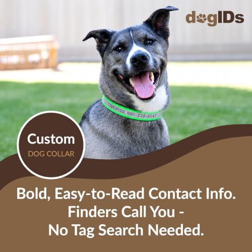dogIDs Personalized Reflective Waterproof Dog Collar - Custom, Durable, Adjustable, Odor Resistant, Safe, Engraved - Green, 1 in x 22 in (Fits Neck Sizes: 20-24 in)