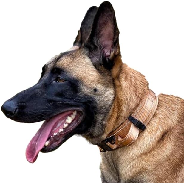 Tactical Dog Collar with Handle, American Flag Patch, 1.5 Inch Wide Thick Heavy Duty Nylon, Quick Release Metal Buckle, Customizable Name Plate, Ideal Dog Collars for Medium to Large Breeds K9 Harness
