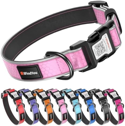 Personalized Dog Collar with QR Code Dog Tag, Oxford Pink L