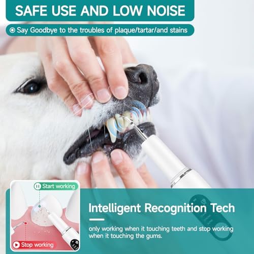 Dog Teeth Cleaning Kit Dog Plaque and Tartar Remover with LED Light 5 Adjustable Modes Electric Toothbrush Pet Teeth Cleaner for Dogs and Cats (White)