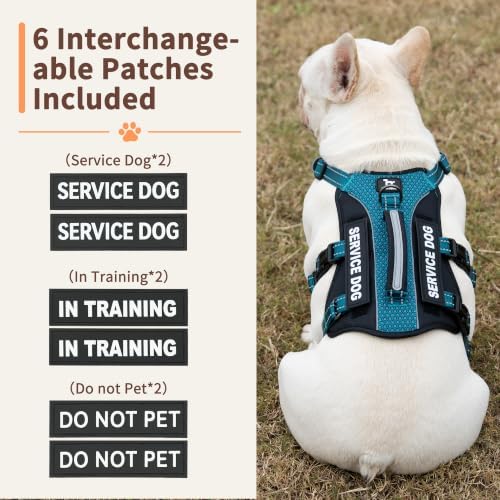 Huntboo Service Dog Vest Harness, Escape Proof Harness with 6 Patches, No-Pull, Reflective Harness with Handle, Adjustable for Small to Large Dogs, for Training and Hiking (Teal, S)