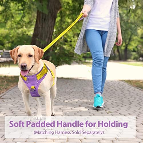 PHOEPET 5 Feet Dog Leash - Dual-Side Reflective - Soft Padded Handle
