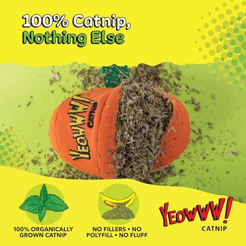Yeowww! Catnip Haloween Pumpkin Catnip Cat Toy - 3 in toy for cats - 100% Stuffed with Premium Organically Grown Catnip, Made in USA