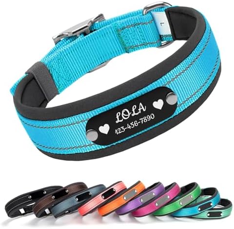 Custom Dog Collar with Engraved Name & Number, Blue: L