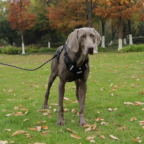 Dog Harness No Pull Adjustable Reflective,for Medium and Large Small Dog with Leash 59.06in (Black, XS)