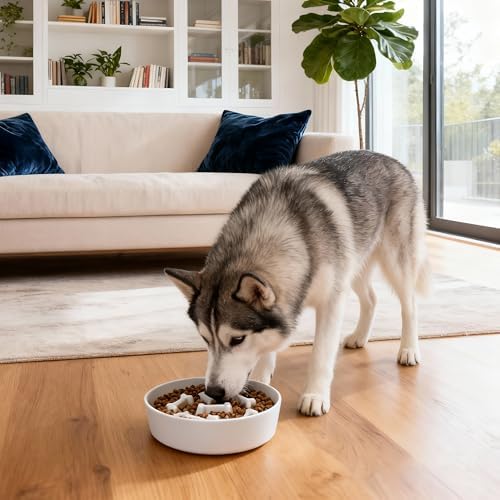Ceramic Slow Feeder Dog Bowls, Ceramic Slow Feeder Maze Dog Food Bowl, Slow Eating Dog Bowl and Slow Feeder Dog Bowl Anti-Choking for Daily Pet Feeding （White Bone）