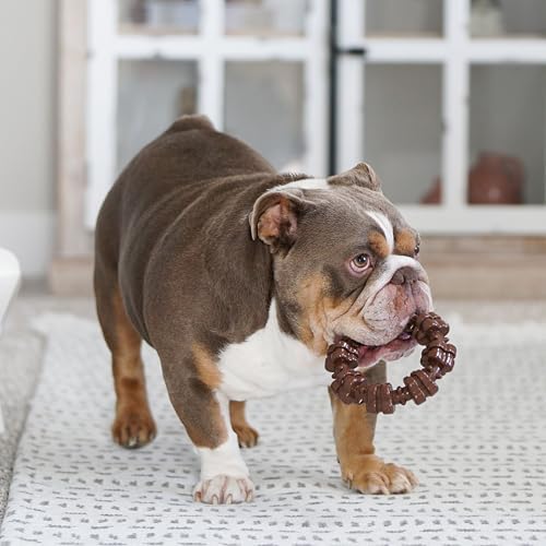 Nylabone Power Chew Customer Favorites Dog Chew Toys, 3 Count, Large