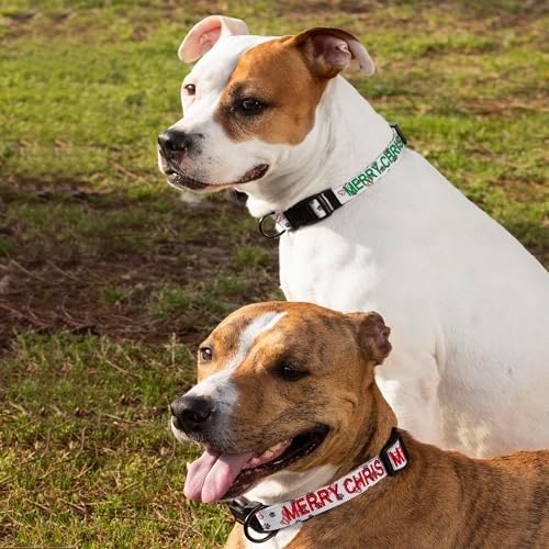 Pawtitas Personalized Dog Collar Dog Soft Adjustable Puppy Collar Customizable Embroidered add Pet Name Phone Number or Phrase Small Dog Christmas