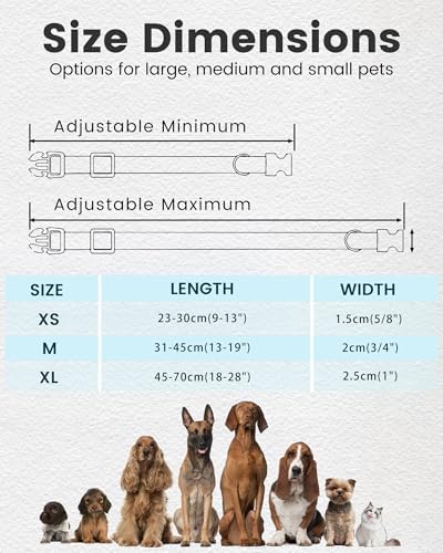 Silent Dog Collar Personalized with Name Phone Number Laser Engraved