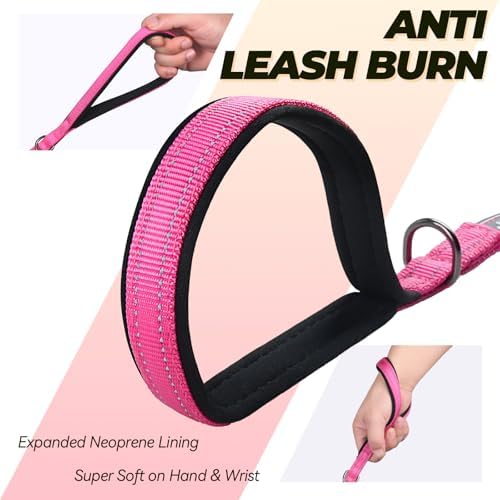 VIVAGLORY Double Handle Dog Leash Twingrip, 4ft x 1/2in, Pink