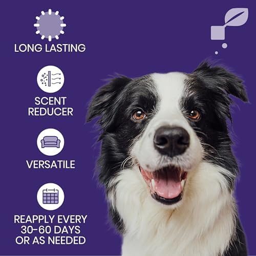 Good Salt Pet Dog Gone Odor, Natural & Fragrance Free Scent Neutralizer, Made in the USA, 1 Gallon Bottle