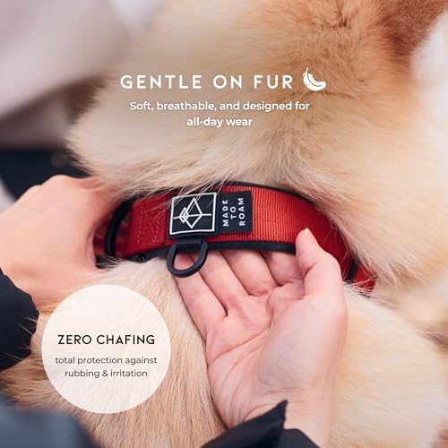MADE TO ROAM Comfort Collar - Adjustable Nylon Dog Collar with Soft Comfortable Padding, Light Aviation Aluminum Metal Buckle for Small, Medium and Large Dogs (Colorado Nightsky, Size 5)