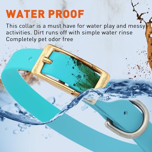 Viper Biothane Heavy Duty Waterproof Dog Collar Strong Coated Nylon Webbing w/Solid Brass Hardware Odor-Proof Easy to Clean High Performance Fits Small Medium or Large Dogs, Sky Blue