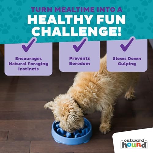 Outward Hound Fun Feeder Slo Bowl – 2‑Cup Capacity, Slow Feeding, Small to Medium Dogs & Cats, Non-Slip, Blue, Notch Pattern, Medium (Pack of 12)