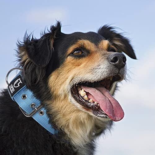 TSPRO Heavy Duty Thick Dog Collar with Metal Buckle for Medium Dogs