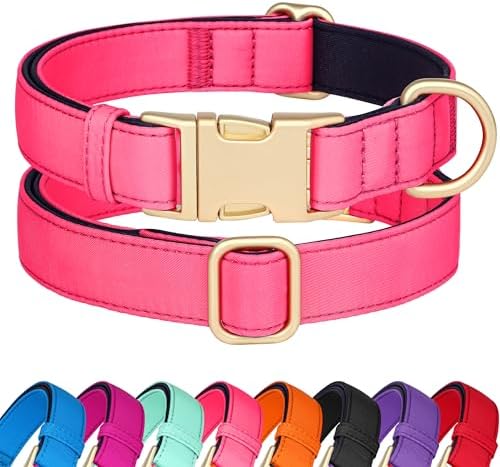 Didog Soft Padded Dog Collar for Medium Dogs, Neon Pink, M Neck 14-18"