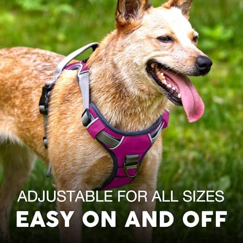 Embark No Pull Dog Harness, Reflective Adjustable Training Vest, No Choke