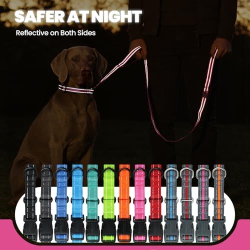 VIVAGLORY Double Handle Dog Leash Twingrip, 5ft x 1in, M2, Pink Grey