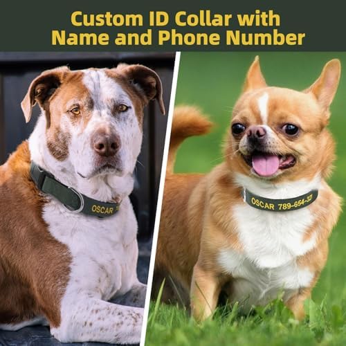 Kuley Personalized Dog Collar, Embroidered with Pet Name and Phone Number