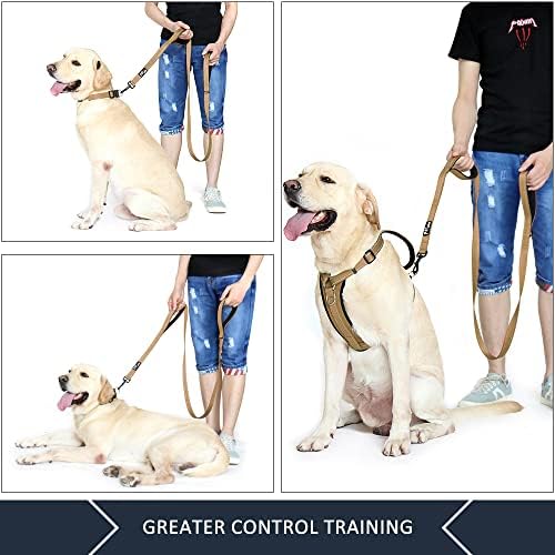 Plutus Pet Double Handle Dog Leash, 4 FT Long, for Medium Large Dogs