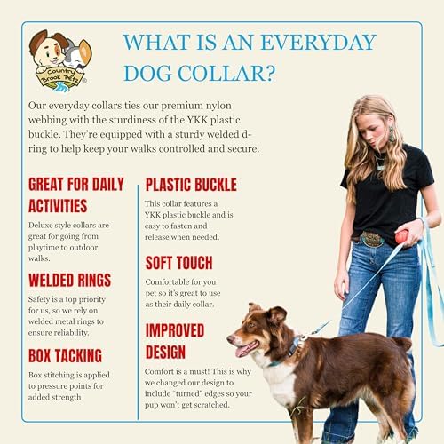 Country Brook Petz - Everyday Nylon Dog Collar for Large, Medium, and Small Dogs and Puppies - for Everyday Use in 30+ Colors (3XS, 3/8 Inch Wide, Ice Blue)