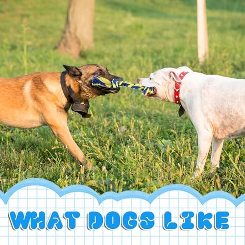 48 Pcs Dog Rope Toys Bulk, 100% Cotton Rope Dog Toys for Aggressive Chewers Durable Puppy Tug of War Toy with Knot, Interactive Puppy Toy for Small & Medium Pet Teething, Teeth Cleaning - 6 Colors