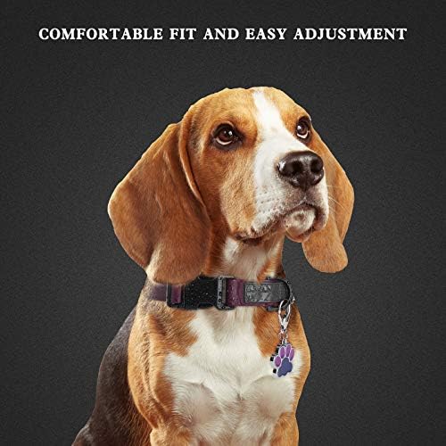 Dog Collar Waterproof Pet Collars,Neck Adjustable Silicone Dog Collar with Strong Coated Webbing and Cute Metal Pendant for Boy Girls Dog Collars S/M/L Sizes
