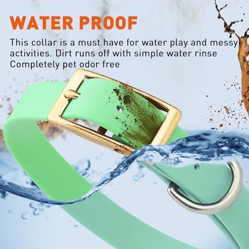 Viper Biothane Heavy Duty Waterproof Dog Collar Strong Coated Nylon Webbing w/Solid Brass Hardware Odor-Proof for Easy Care to Clean High Performance Fits Small Medium or Large Dogs, Sea Foam Green