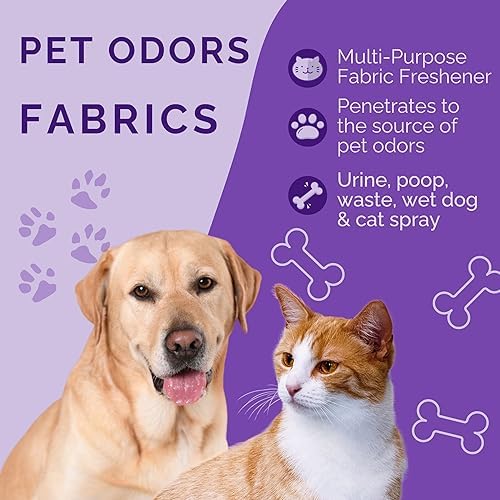 No Scent Carpet Upholstery & Fabric Furniture Spray Spot Cleaner for Wet Dog Smell, Cat Spray, Pet Odor, Urine, Poop & Secretions (128 Fl Oz / 3.8 Liter) Gallon