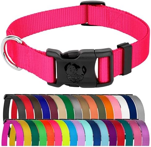 Country Brook Petz - Everyday Nylon Dog Collar for Large, Medium, and Small Dogs and Puppies - for Everyday Use in 30+ Colors (Small, 3/4 Inch Wide, Hot Pink)