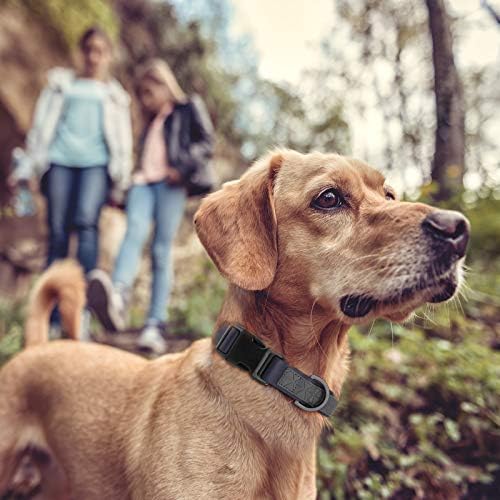 Dog Collar Waterproof Pet Collars,Neck Adjustable Plastic Dog Collar with Strong Coated Nylon Webbing and Cute Metal Pendant for Boy Girls Dog Collars S/M/L Sizes