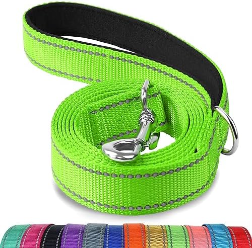 Joytale Reflective Dog Leash for Small Dogs, 5 FT x 3/4", Green