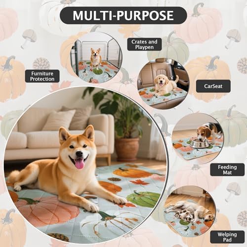 IEUUMLER Washable Pee Pads for Dogs, 2 Pack Pumpkin Pattern Reusable Waterproof Puppy Potty Pads, Non-Slip Absorbent Pet Training Pads for Playpen Crate Bed EU016 Grey Pumpkin, 30x20